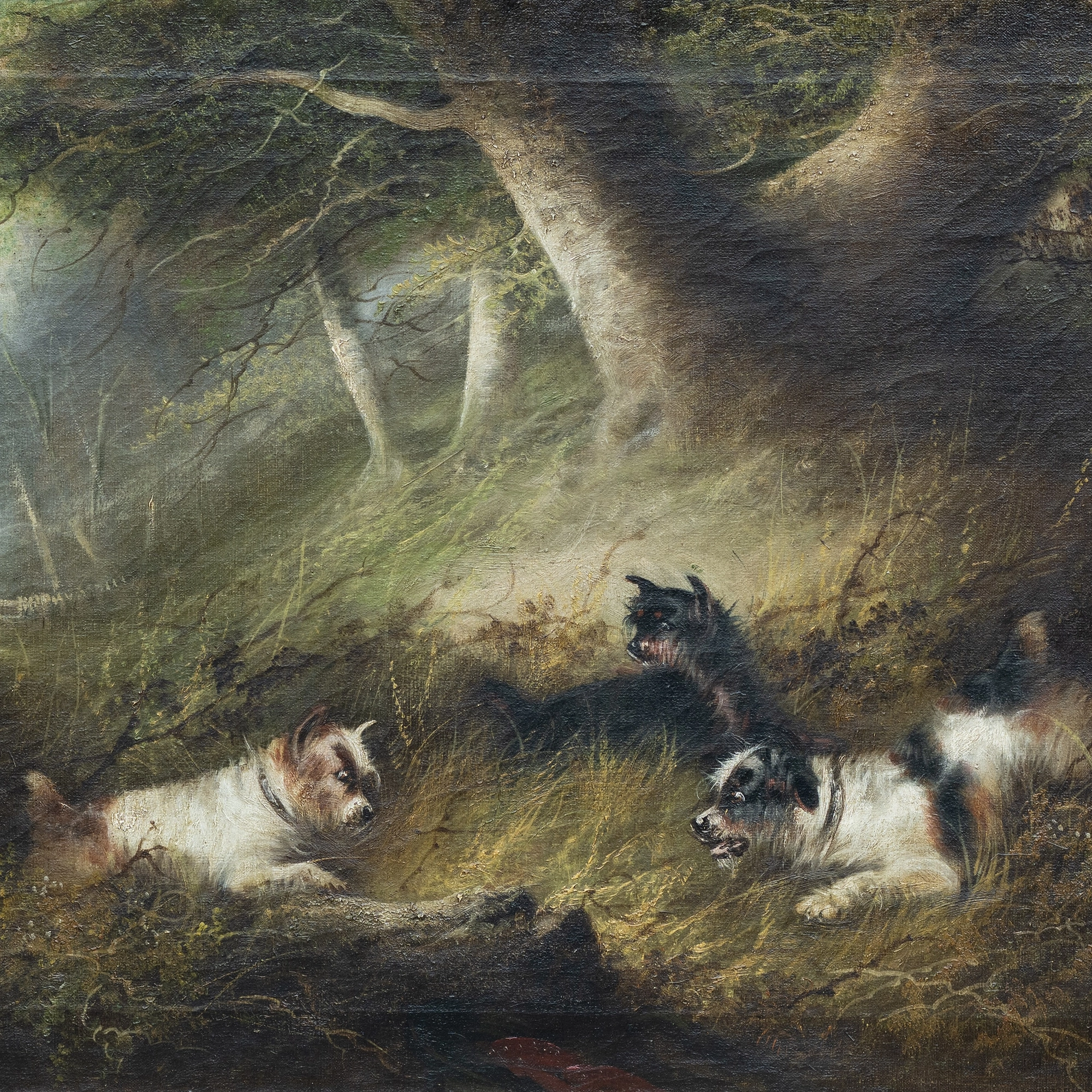 Terriers at a rabbit hole