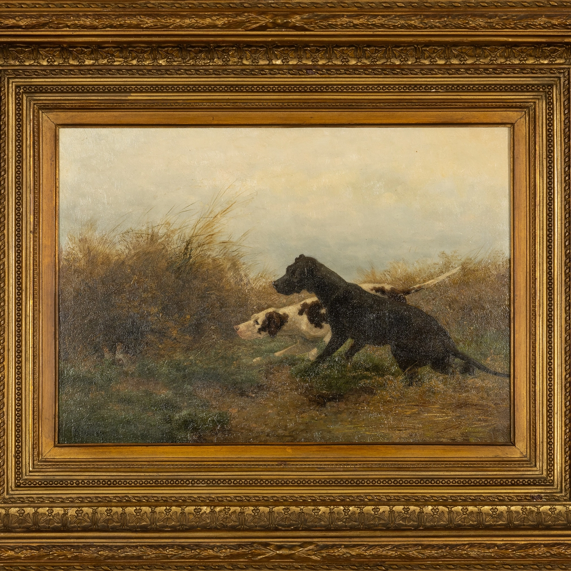 Gundog pair stalking grouse in cover