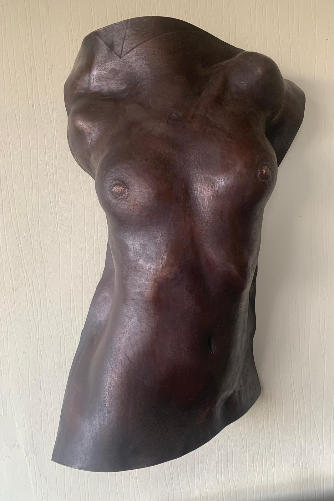 Female Torso